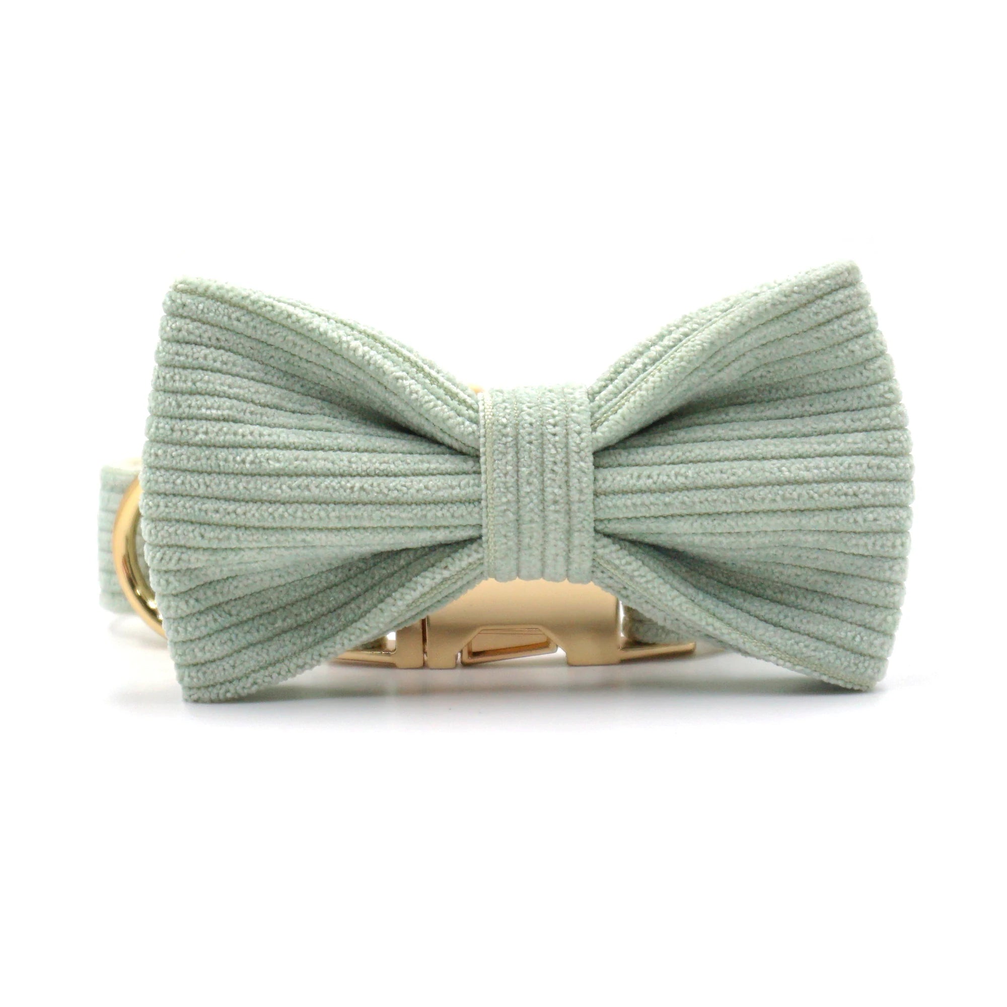 Mint Green Corduroy Dog Harness Set