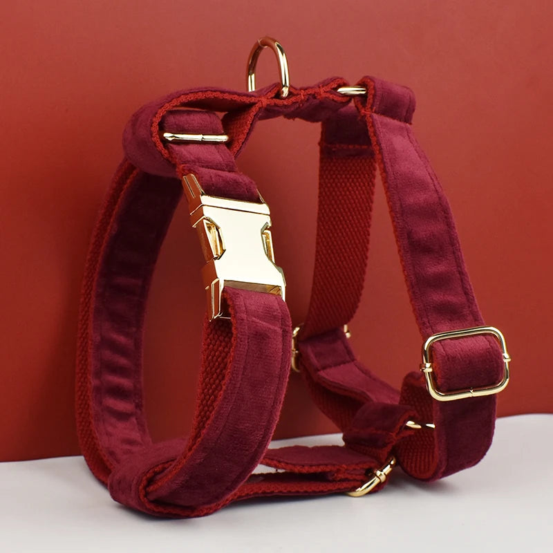Red Wine Velvet Dog Harness Set