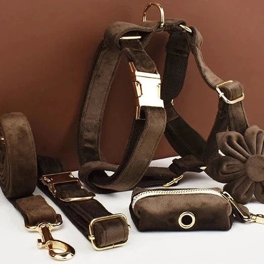 Dark Brown Velvet Dog Harness Set